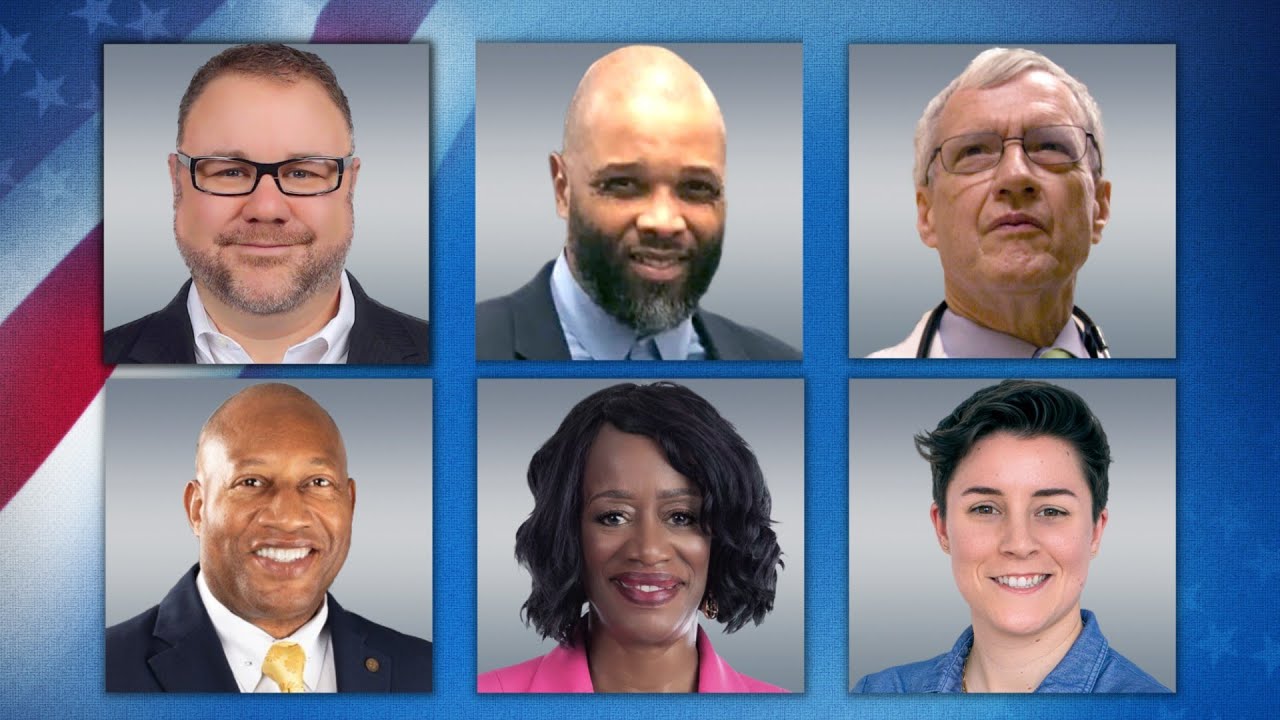 Meet the Danville City Council candidates YouTube