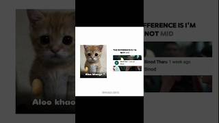 The difference is I'm not mid 🍁💀#trending #shorts #fypシ #reels #memes #relatable #funny #aloo #edit