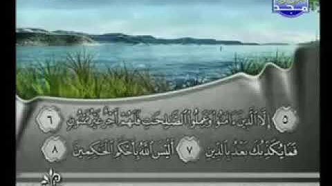 095 سورة التين كاملة الشيخ فارس عباد