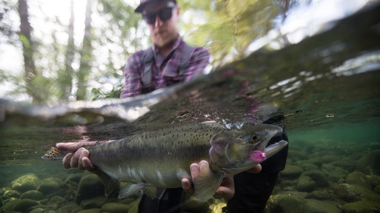 Fishing BC and Hooké Present: Exploring Vancouver Island Streams with  Cumberland Fly Shop 