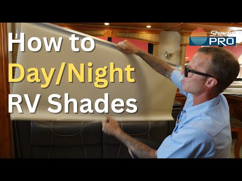 Putar Shades On - Legacy