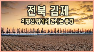 아리랑 영상