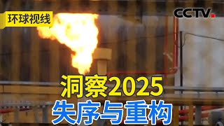 全球化遭关税逆风，世界经济能否走出迷雾；国际格局走向分水岭？和平发展如何维护20251230 | CCTV中文《环球视线》