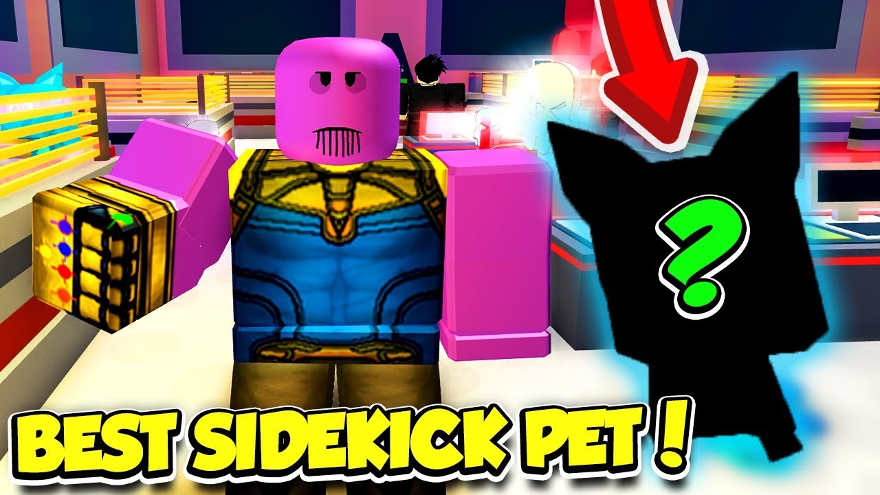 You Have To See The Most Overpowered Sidekick Pet In Superhero Simulator Roblox - close range teleporter roblox