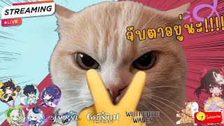 LIVE : เดี๋ยวมันจะไอ้นั่น กับ Hongkai Starrail