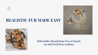 How to Draw Realistic Dog Fur with Coloured Pencils | Layering Tutorial for Beginners