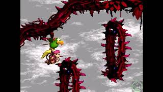 Donkey Kong Country 2 Snes Hack Lost Levels Part 10