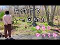 野良ちゃん小屋を解体しました【犬と猫と北海道で田舎暮らし】