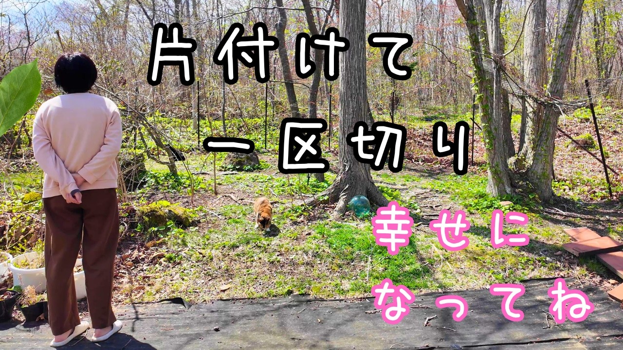 野良ちゃん小屋を解体しました【犬と猫と北海道で田舎暮らし】