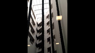 Elexus Hotel & Resort & Spa North Cyprus Vacation