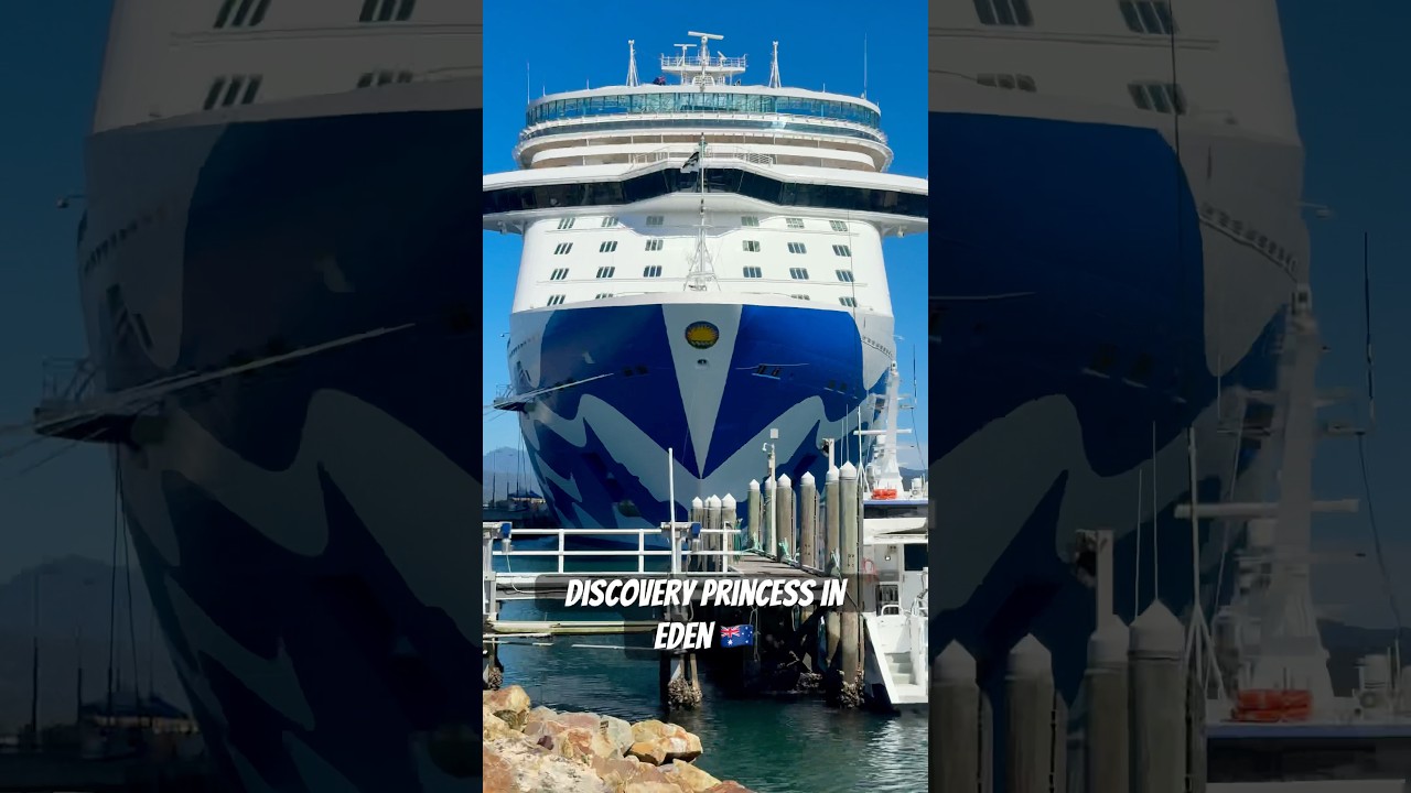 Discovery Princess at First Light in Eden NSW #shorts #cruise #scenery