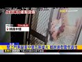 被嫌吵就惱羞！裸男狂毆鄰居 媽媽拿「榔頭」助陣@newsebc