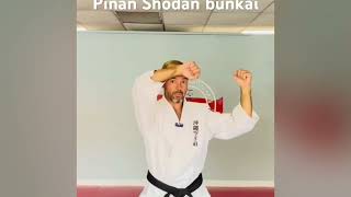 Karate Tips for Beginners: Pinan Shodan a quick look
