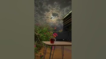 ماشاء الله جمال الصوت مع جمال الأداء من سورة #آل_عمران #القرآن_الكريم #تلاوات #shortvideo #viral