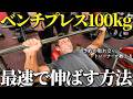 ベンチプレス100kgを最短で達成したい人はこの動画を見てください