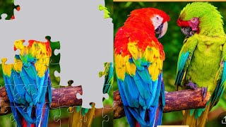 Jigsaw Puzzle Game☘Digital Games screenshot 2