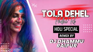 TOLA DEHEL PADHI RE (HOLI MIX) DJ DHAMMU_RAIPUR