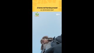 너는 말인데 왜 말이 업써?