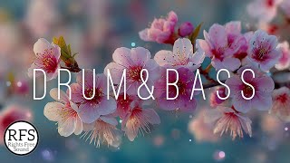 Piano Drum & Bass Background Music by RightsFreeSound / Flower [FREE TO USE]