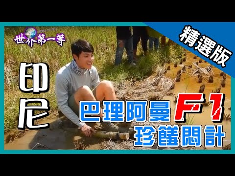 《世界第一等》863集【印尼】珍饈悶計│精采回顧