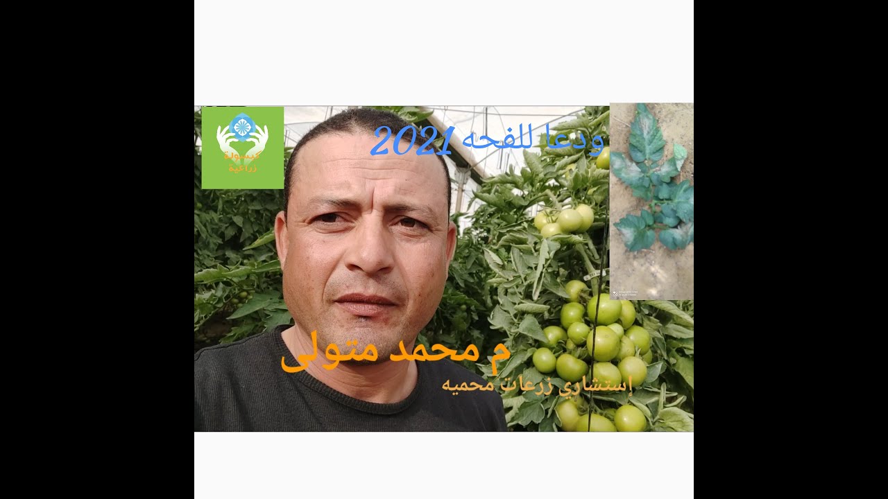 وداعا للفحه المبكره والمتاخره لمدة واحد وعشرين يوم2021 مع شرح كامل 1080p