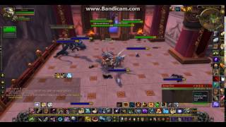 warmane player item bug crash