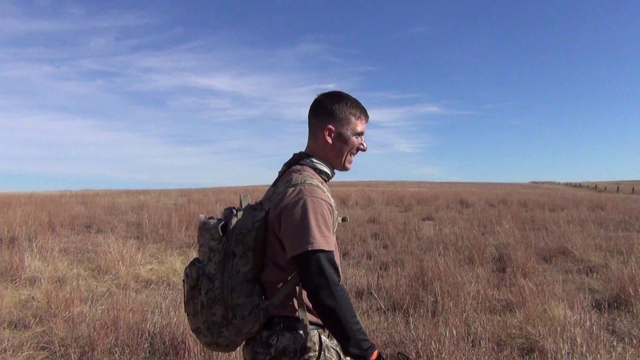 Jack Rabbit with a bow in Western Kansas YouTube