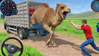 Camel Cargo loading in truck - Animal Cargo Truck Driving Game 3D - Android Gameplay Video screenshot 4