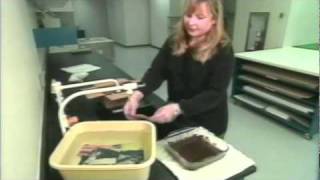 Recovery of photographs after a water emergency