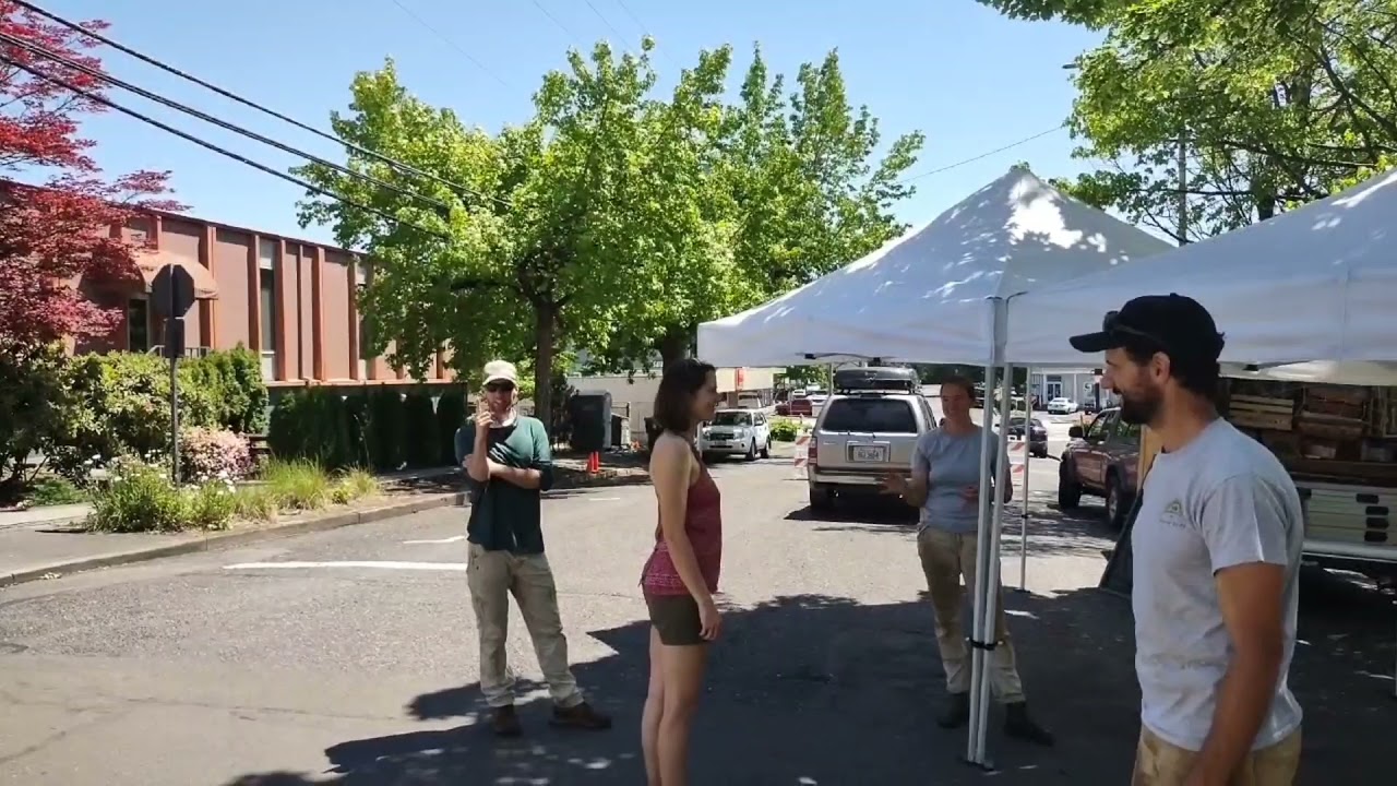 Exploring The Town Of Camas, Washington