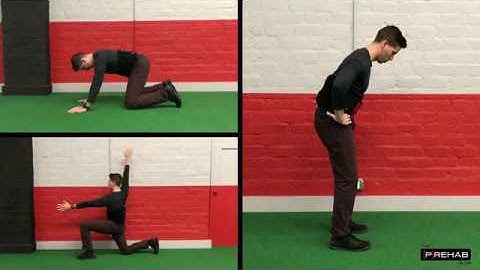 Low Back + Hip Warmup & Cool Down