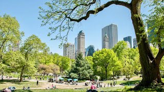 NEW YORK CITY 2018: SPRING in CENTRAL PARK [4K]