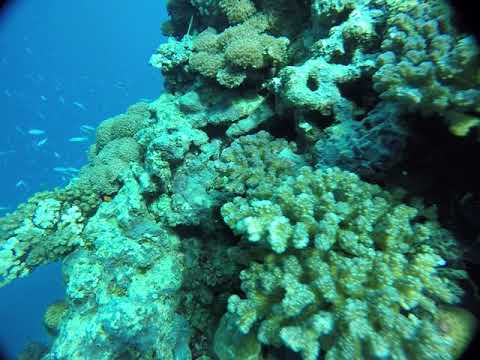 مجموعه موسى للخدمات البيئيه عينات محطات تحلية رابغ