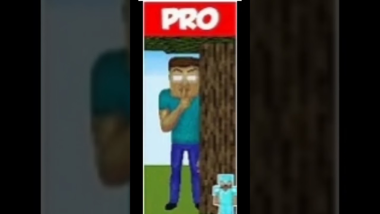 noob and pro and hacker in Minecraft|Minecraft short|