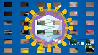 Understanding Hepatitis