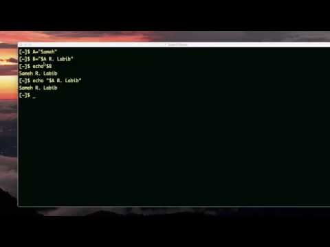 variables in variables and commands in variables (bash scripting)