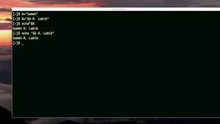 variables in variables and commands in variables (bash scripting)