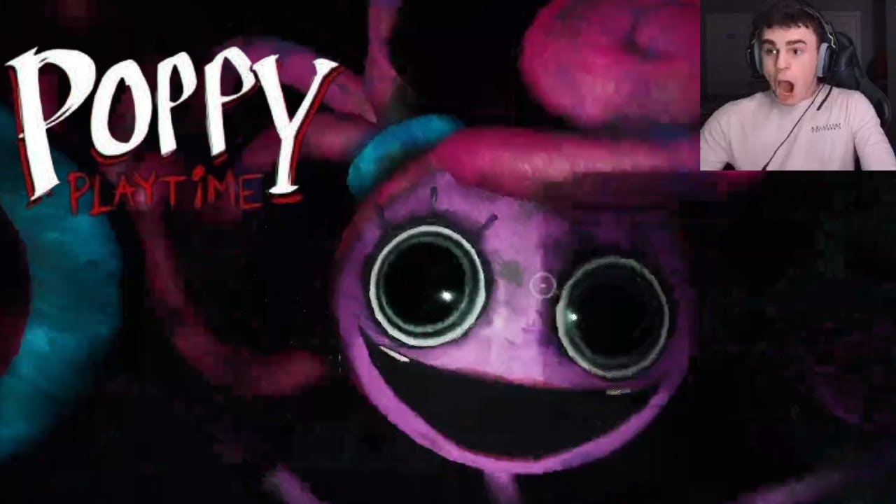 DONT LOOK BACK!!! RUN!!! (poppy playtime chapter 2)