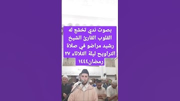بصوت ندي تخشع له القلوب استمع لتلاوة القرآن الكريم بصوت الشيخ رشيد مراضو