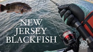 Tautog (Blackfish) Fishing With Jigs - New Jersey - 11/28/25