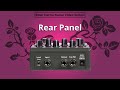 1. Eventide Rose - Rear Panel