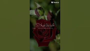 فاصبر صبرا جميلا |🌿القرآن الكريم | القارئ اسلام صبحي