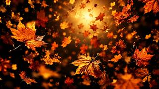 1 Hour Relaxing Autumn Leaves | Calm Falling Leaves with Soft Music | Peaceful Ambient Video screenshot 5