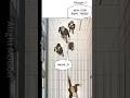 Dark Moon : The Grey City chapter:1 and part 3 of this manga