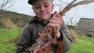 Henry plucks a pheasant to feed the cats