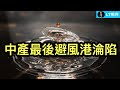 中國中產最後避風港淪陷；史上最奇葩“送上門”令人瞠目結舌；北大教授揭中國製造另一世界公害。