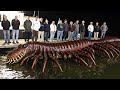 The World’s Most Venomous Centipedes Are Evolving — and What Cameras Captured Is Terrifying
