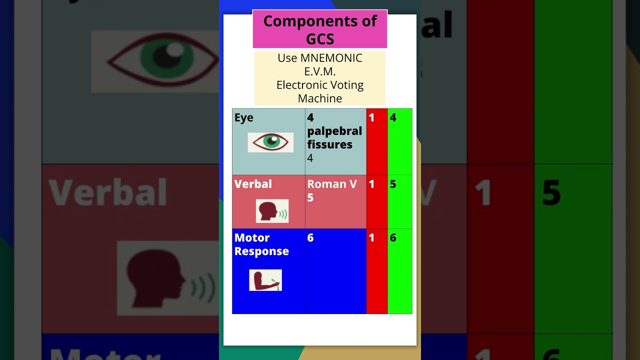 Glasgow Coma Scale Made Easy with Mnemonics & Tricks #gcs #mbbs  #neetpgpreperation #mnemonic #shorts - YouTube