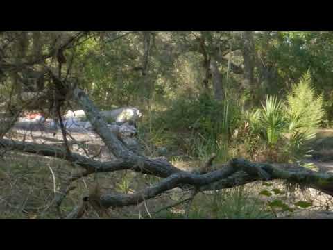 Airsoft Ghillie Gameplay