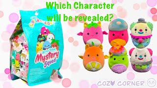 Mystery Squishy Squish Reveal 